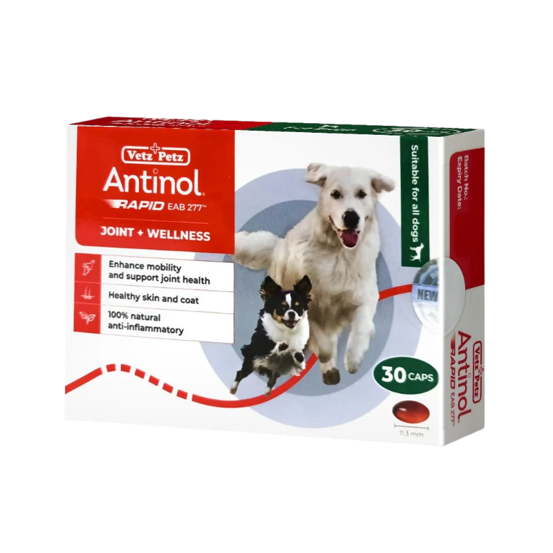 Antinol Joint Wellness EAB-277 capsules for dogs and cats joint mobility support