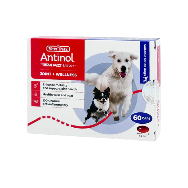 Antinol Joint Wellness capsules - joint and mobility supplement for pets