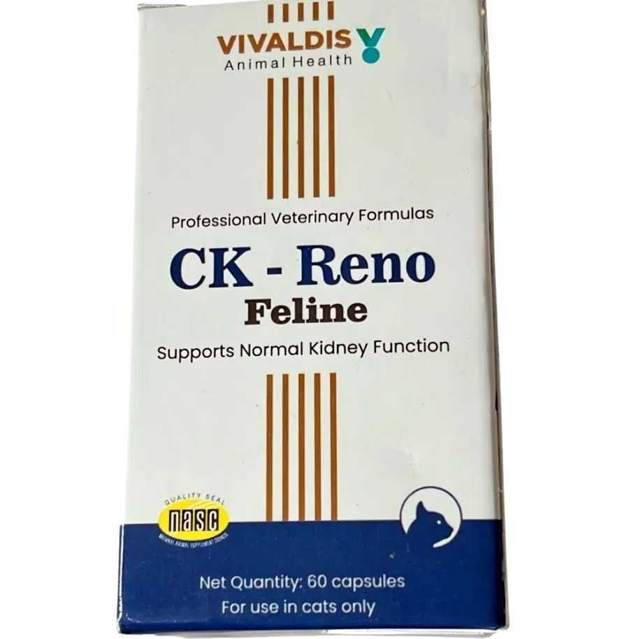 CK-Reno Feline